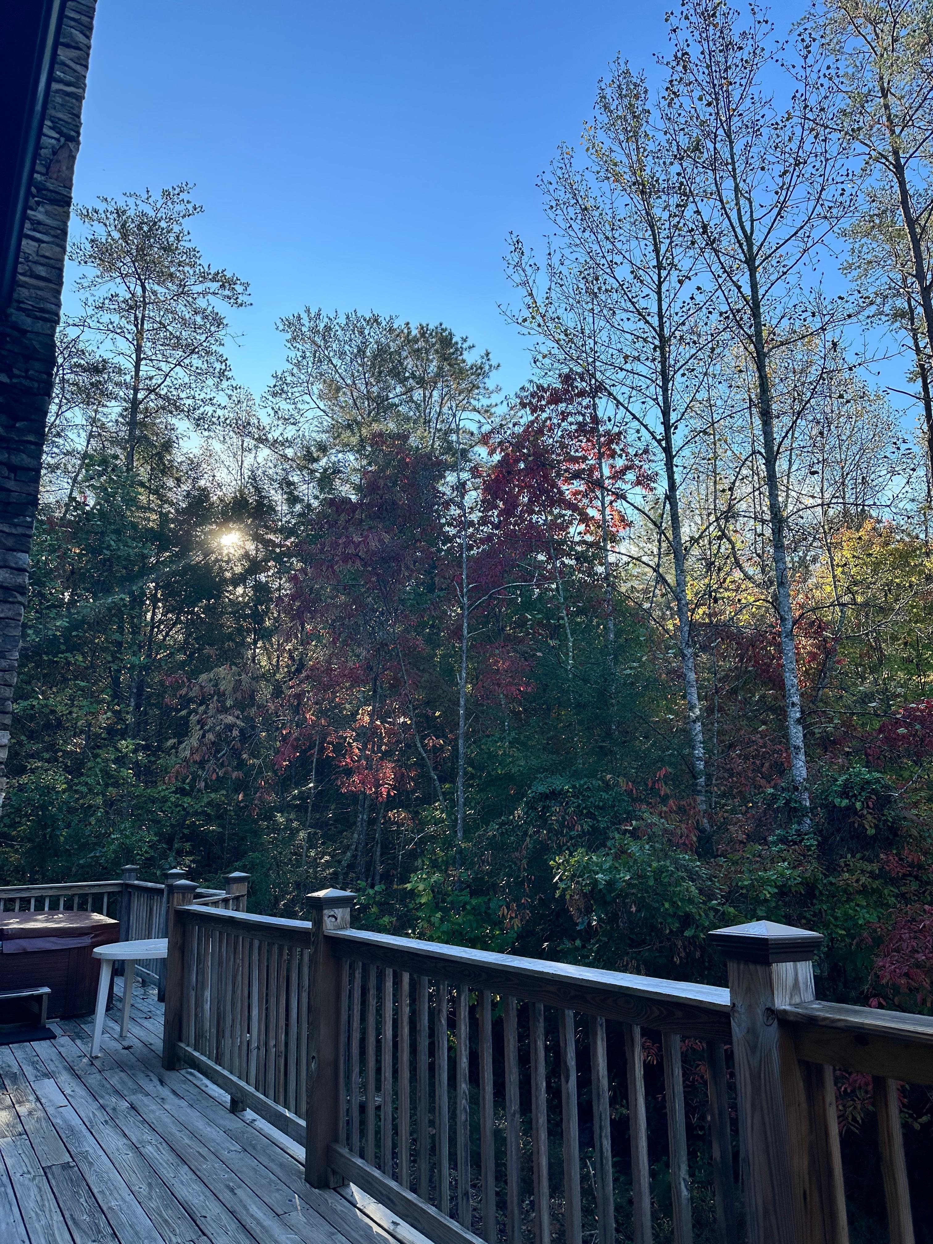 Surrounded by nature