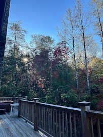 Surrounded by nature