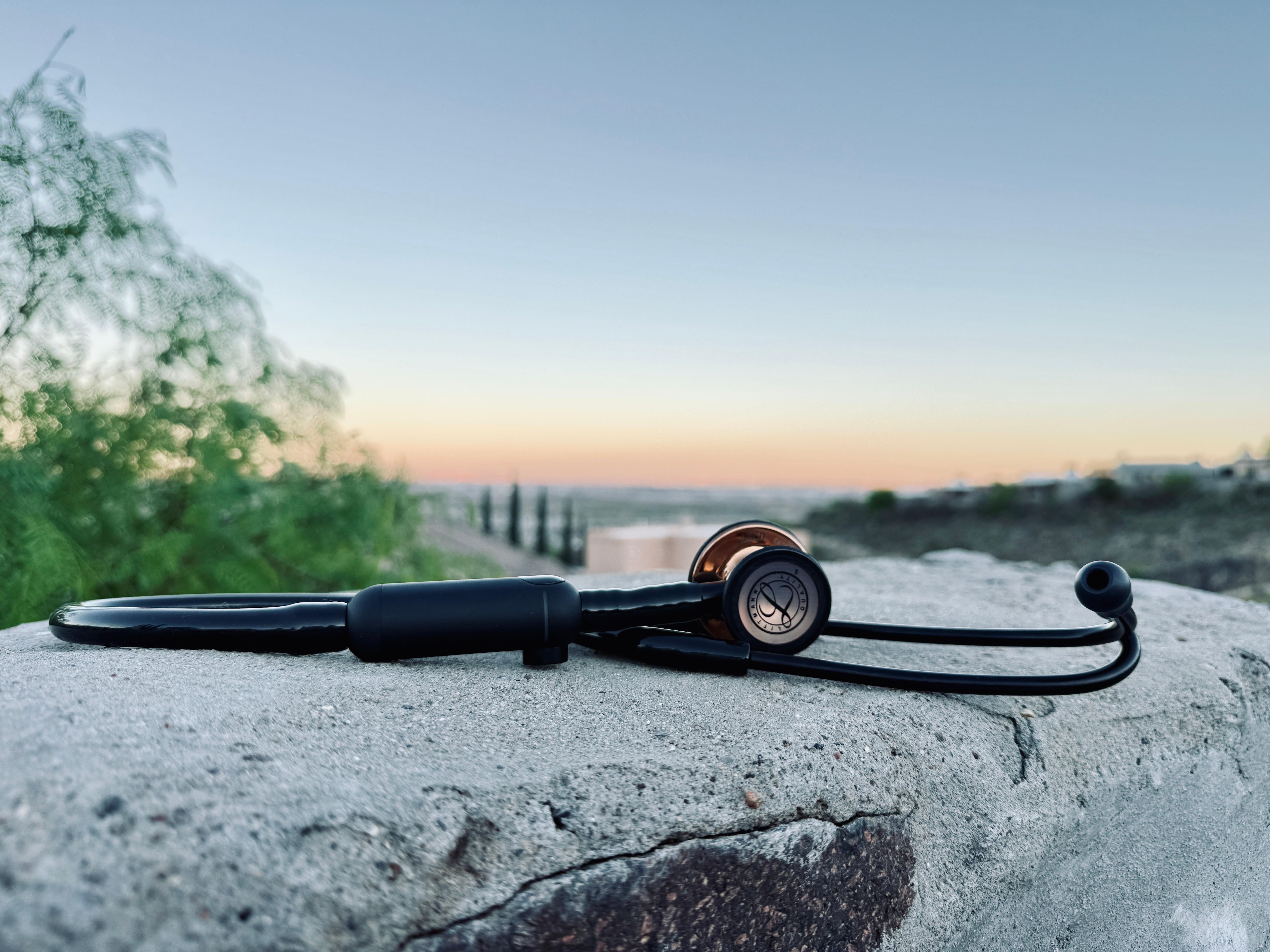 This is in the backyard. My daughter is a doctor of anesthesia!