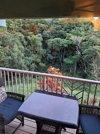 Green belt view from upstairs lanai