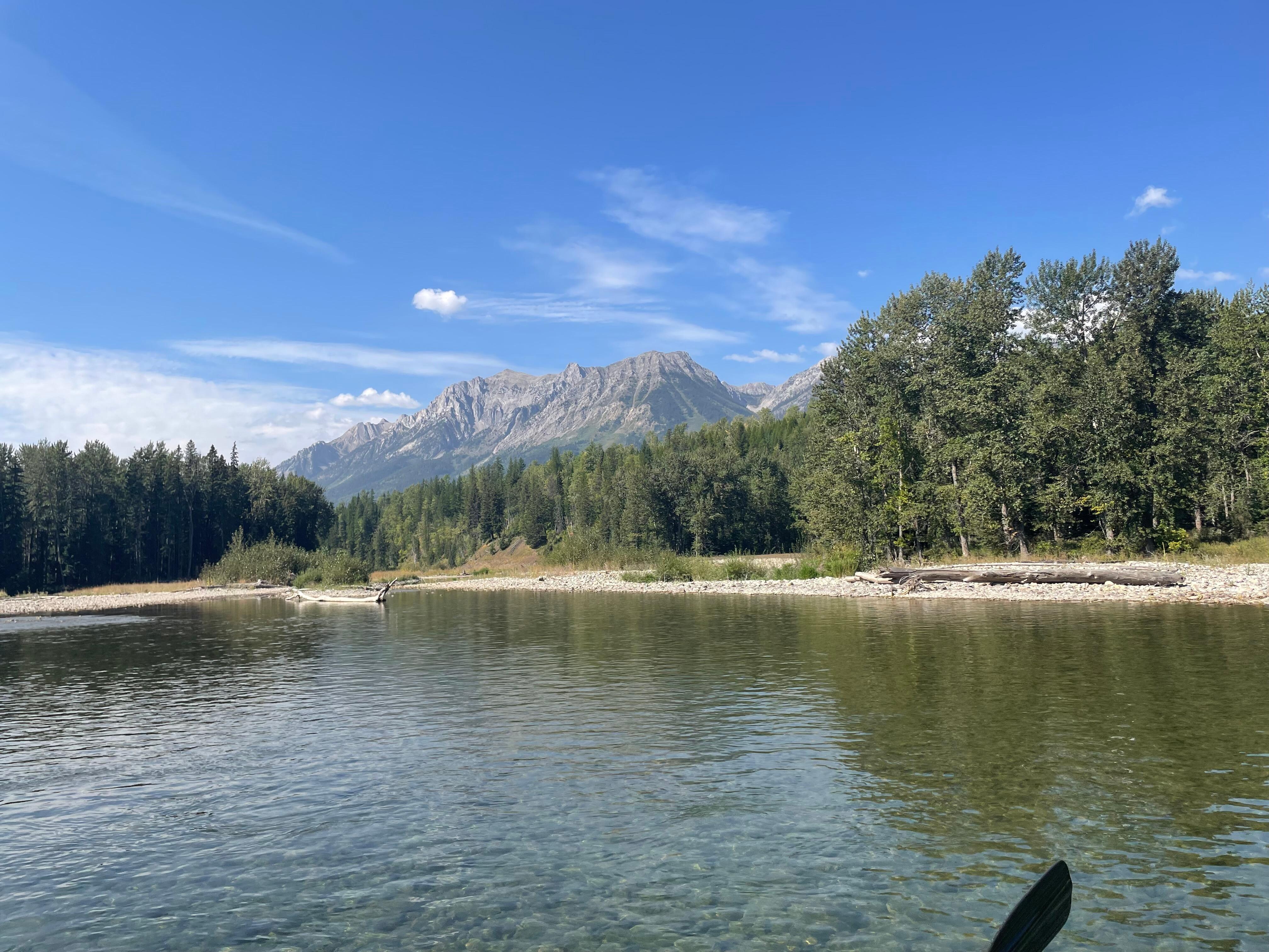 Fly fishing on the Elk River (20 min from apartment)