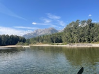 Fly fishing on the Elk River (20 min from apartment)
