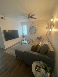 Living room - my son loved the couch and flatscreen TV