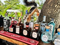 One of our Costa Rican friends joining us for a drink at the beach bar.