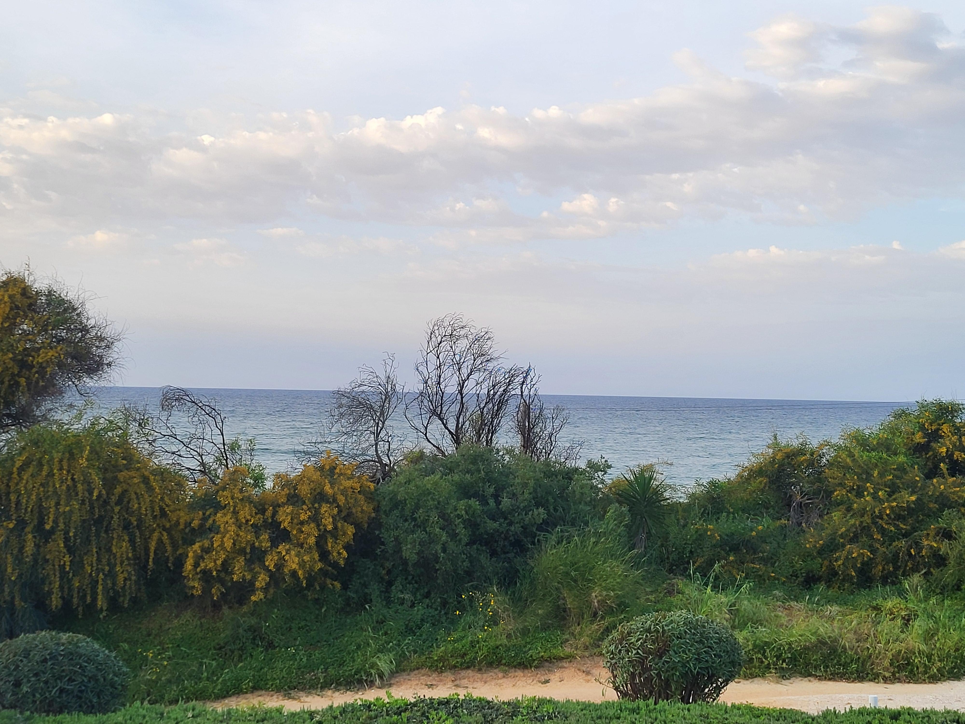 Vue depuis la chambre