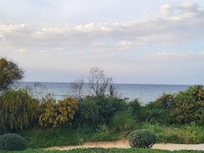 Vue depuis la chambre