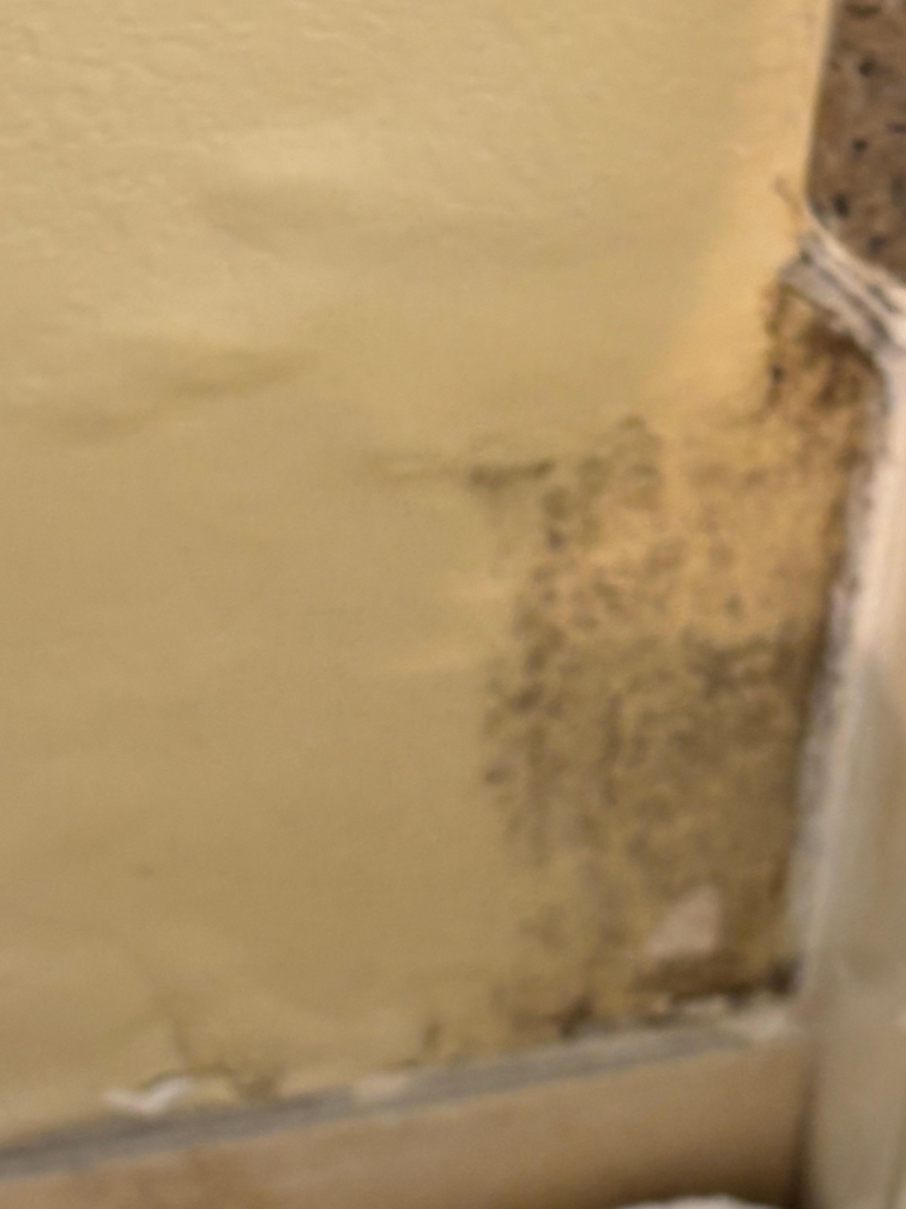 Mold
