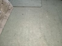 Carpet