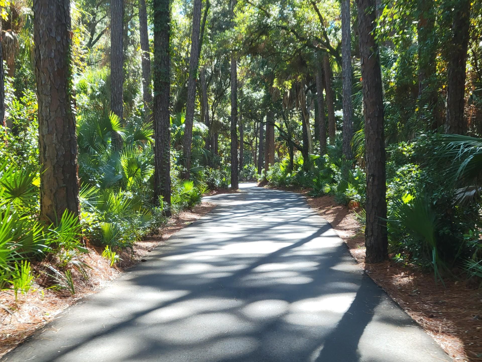 Hunting Inland State Park 