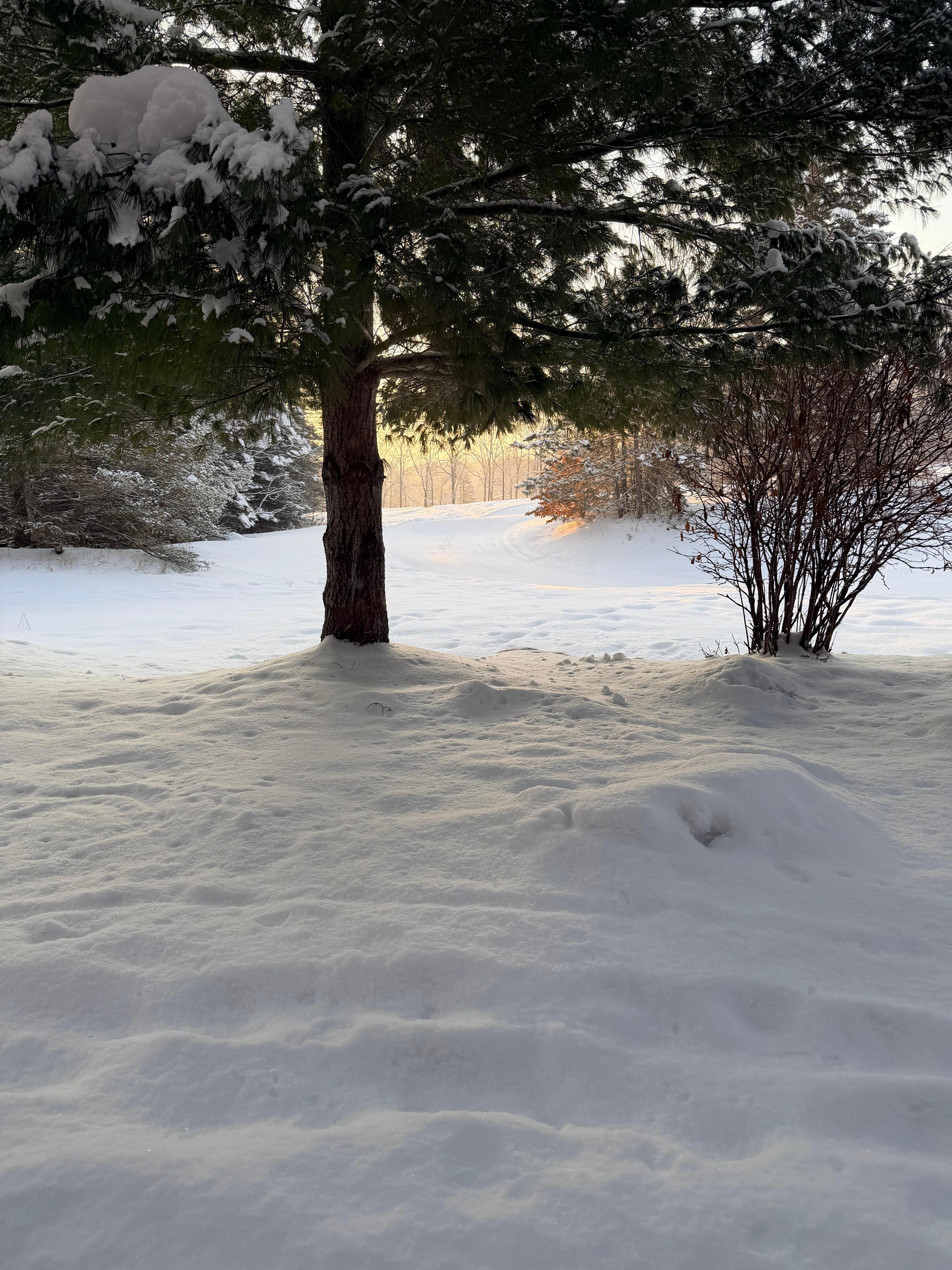 First morning from the condo looking out towards the Disciples 8 lift. 