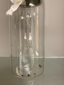 We caught total 9 cockroach