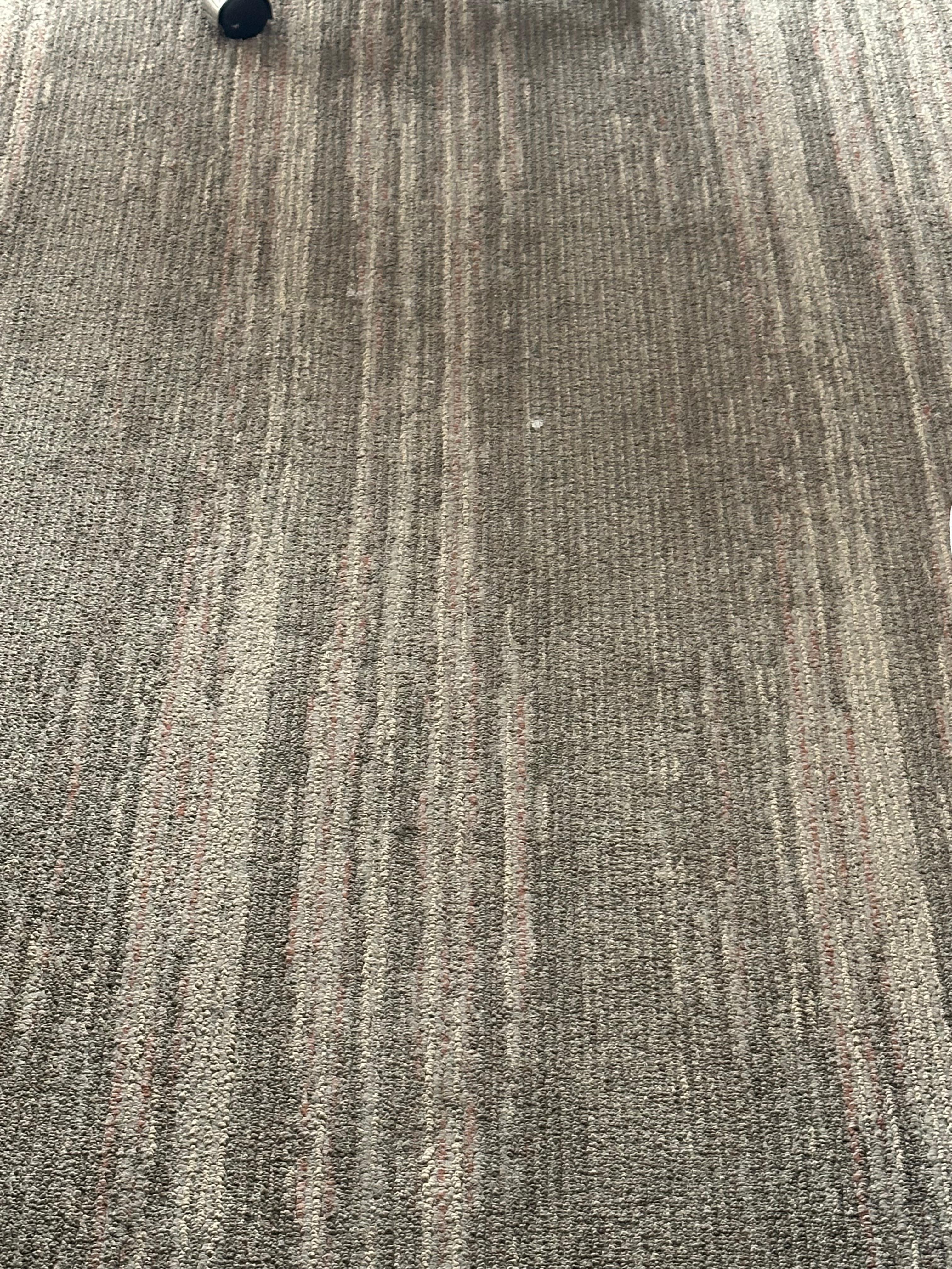 Carpet