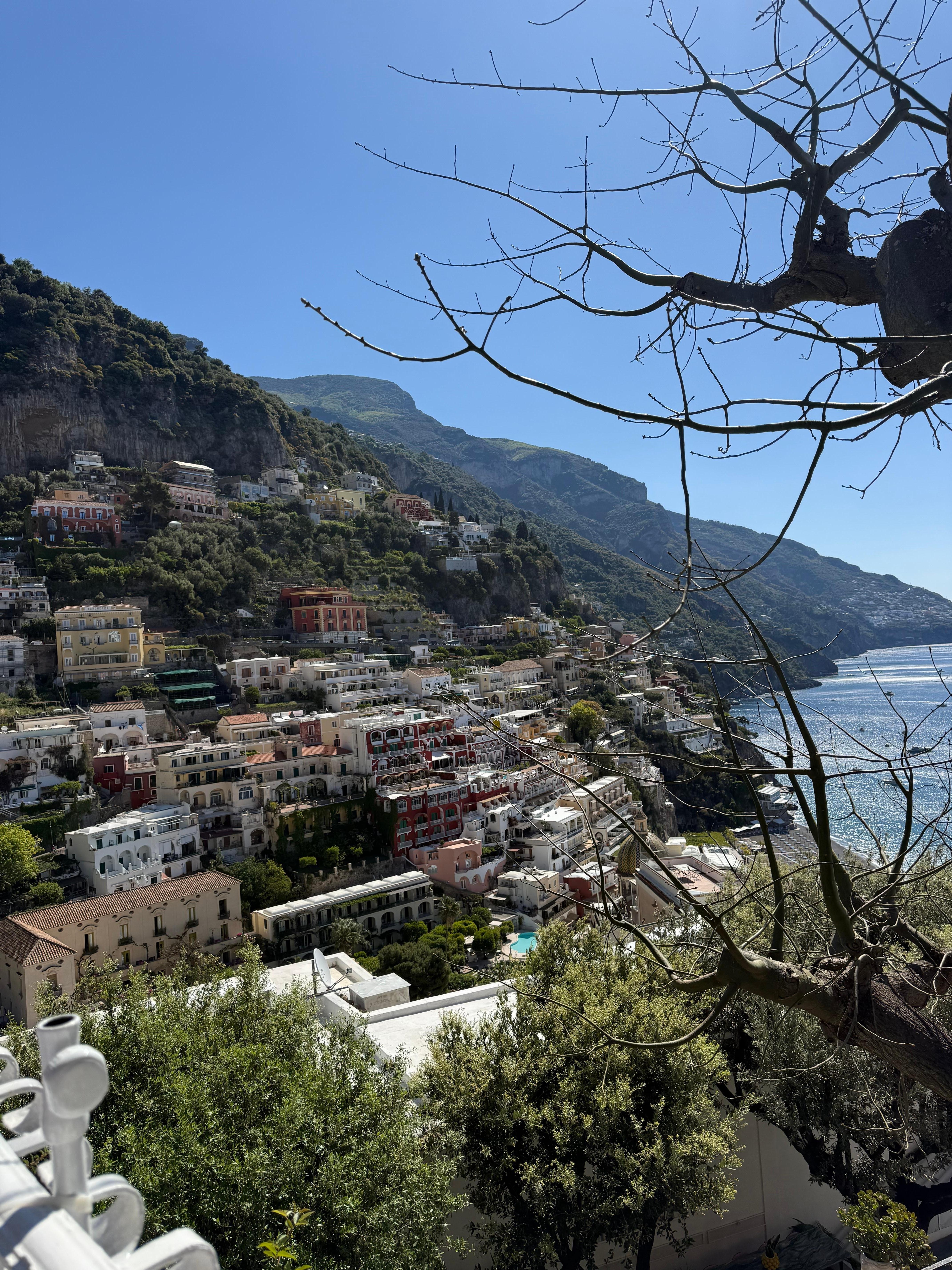 View from terrace