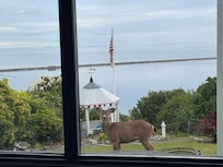 Right outside the window!!