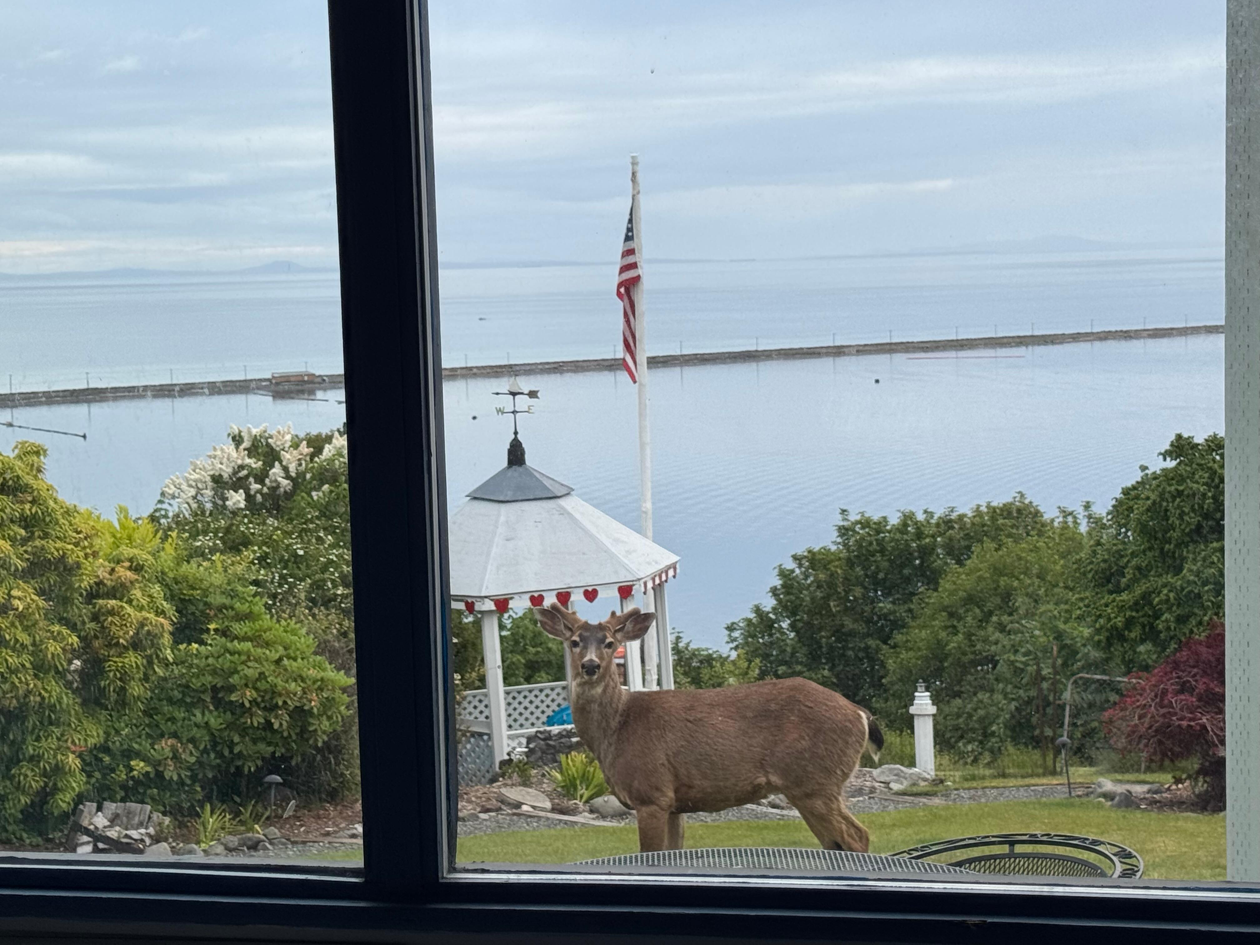 Right outside the window!! 