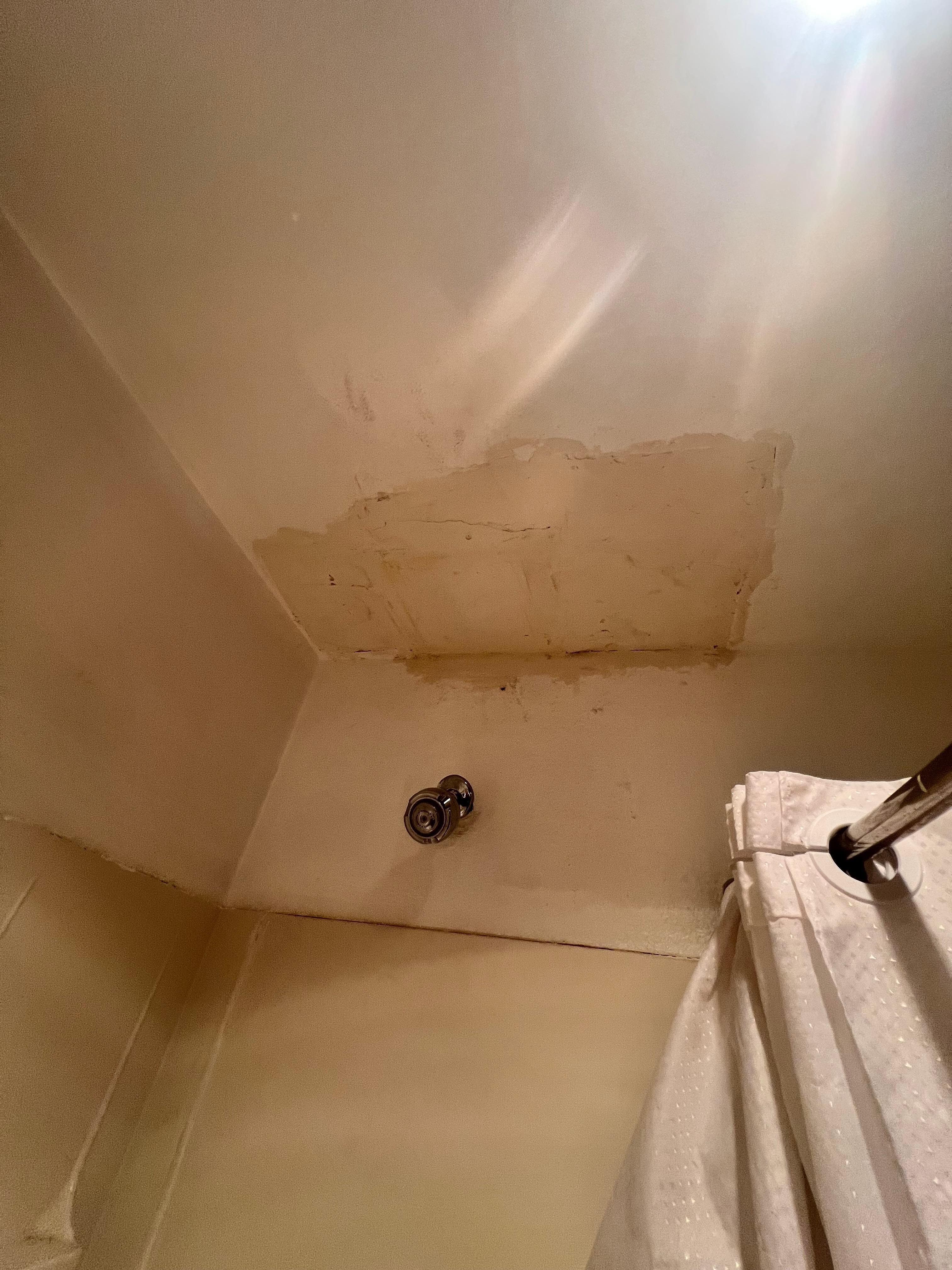 The shower