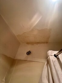 The shower