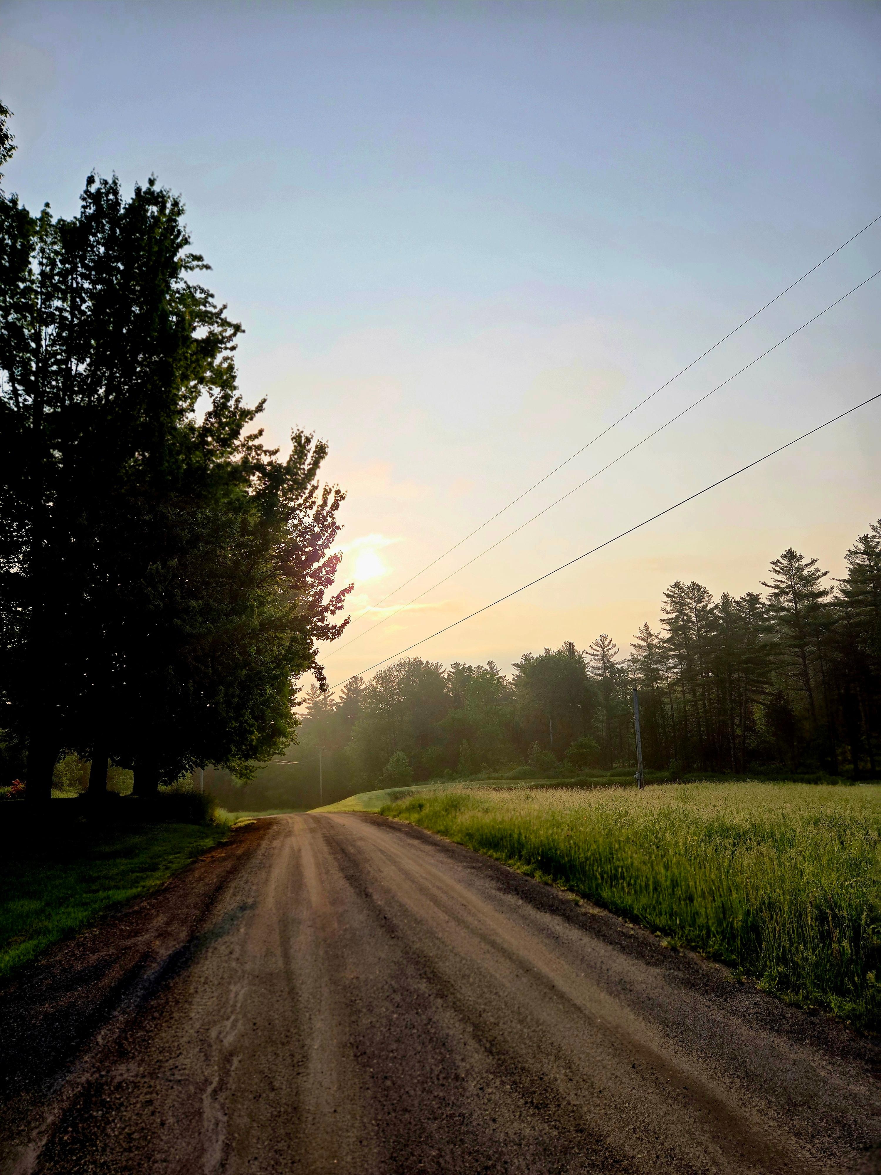 Best sights are early morning 