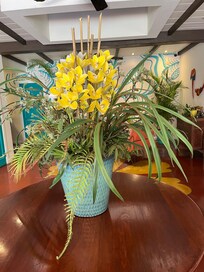 Beautiful orchids in Foyer