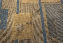 Stains on the carpet in the hallway. This was everywhere.
