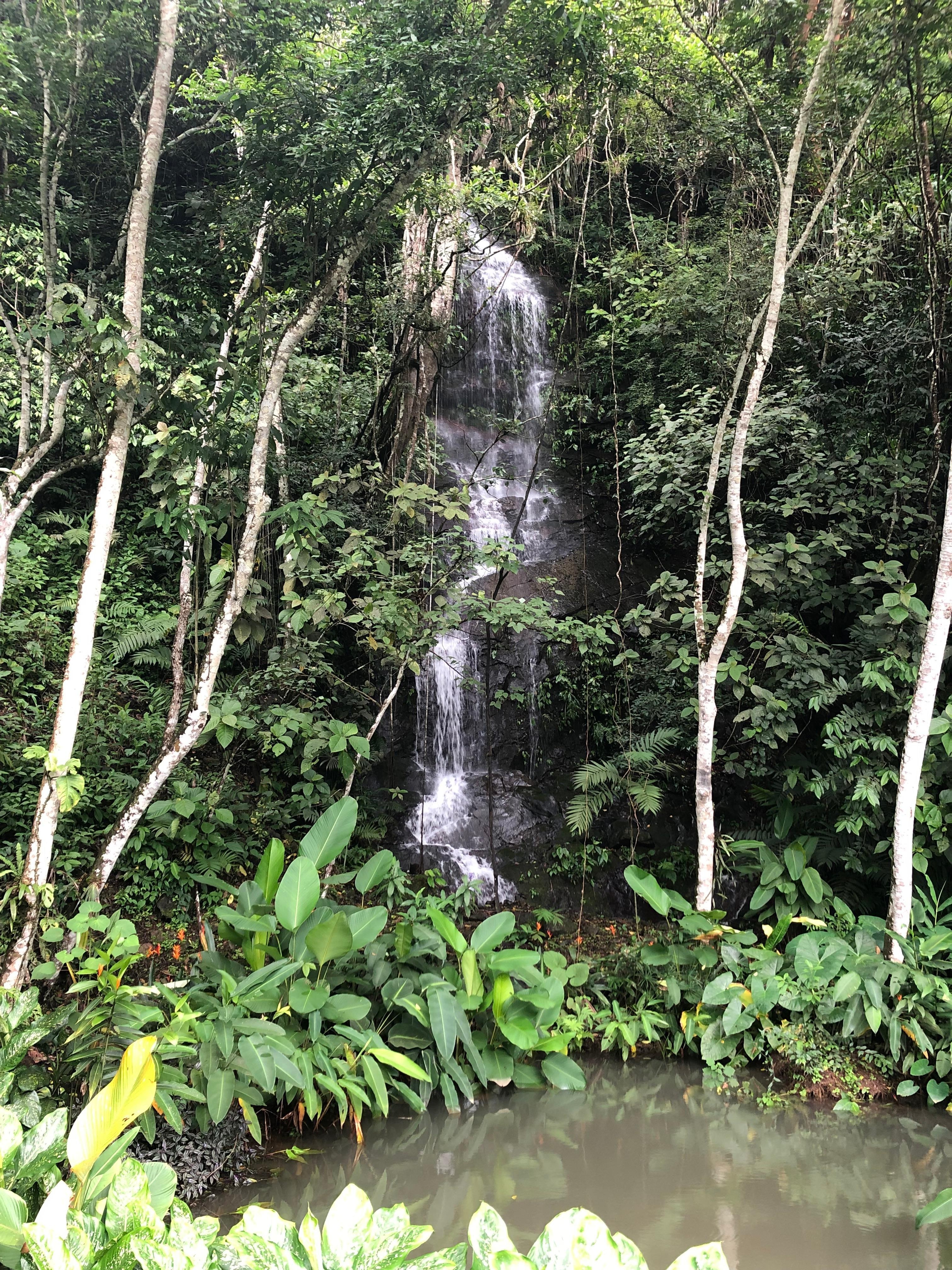 The waterfall on the property.