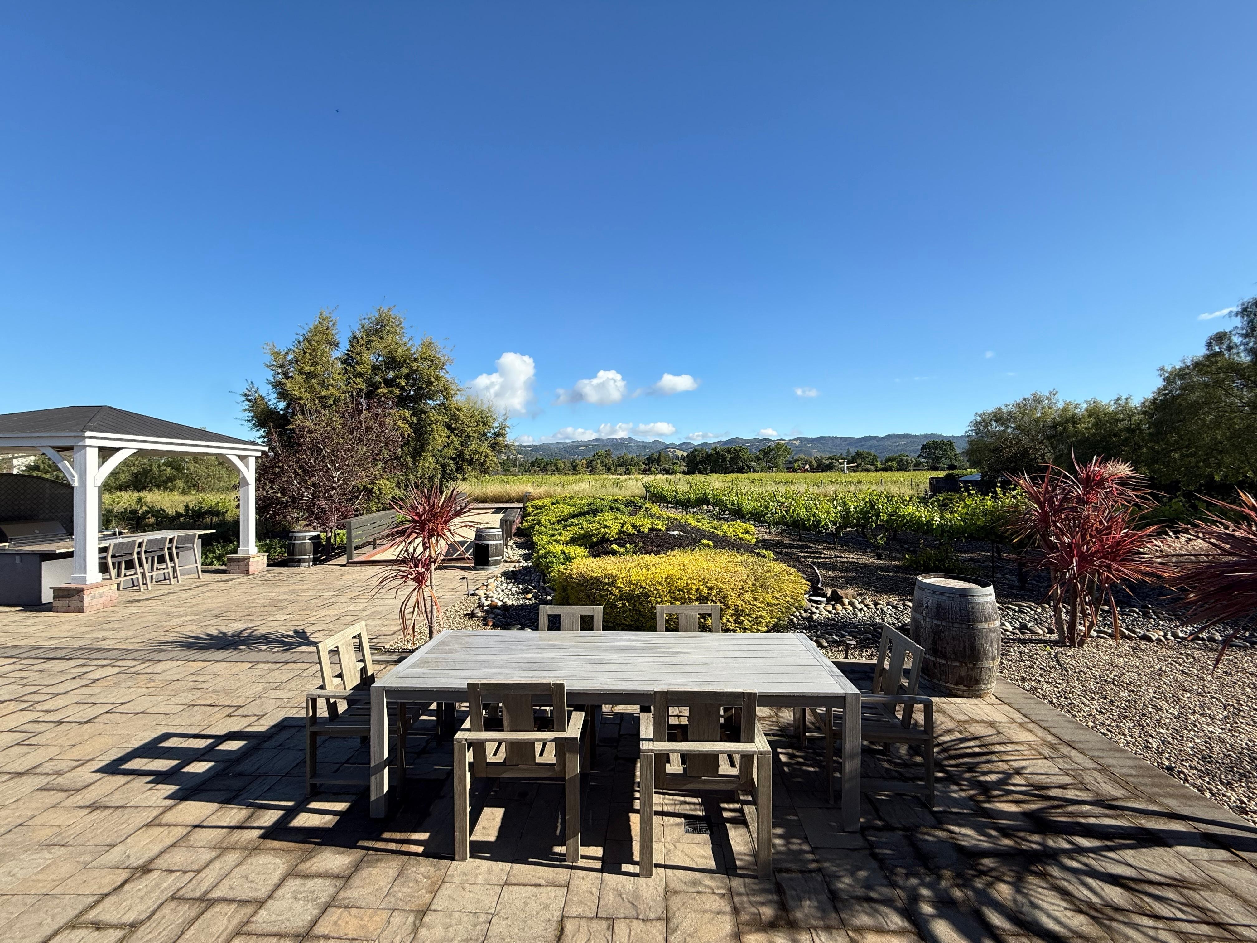 Morning view of the backyard