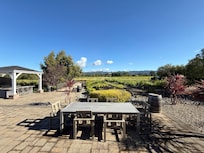 Morning view of the backyard