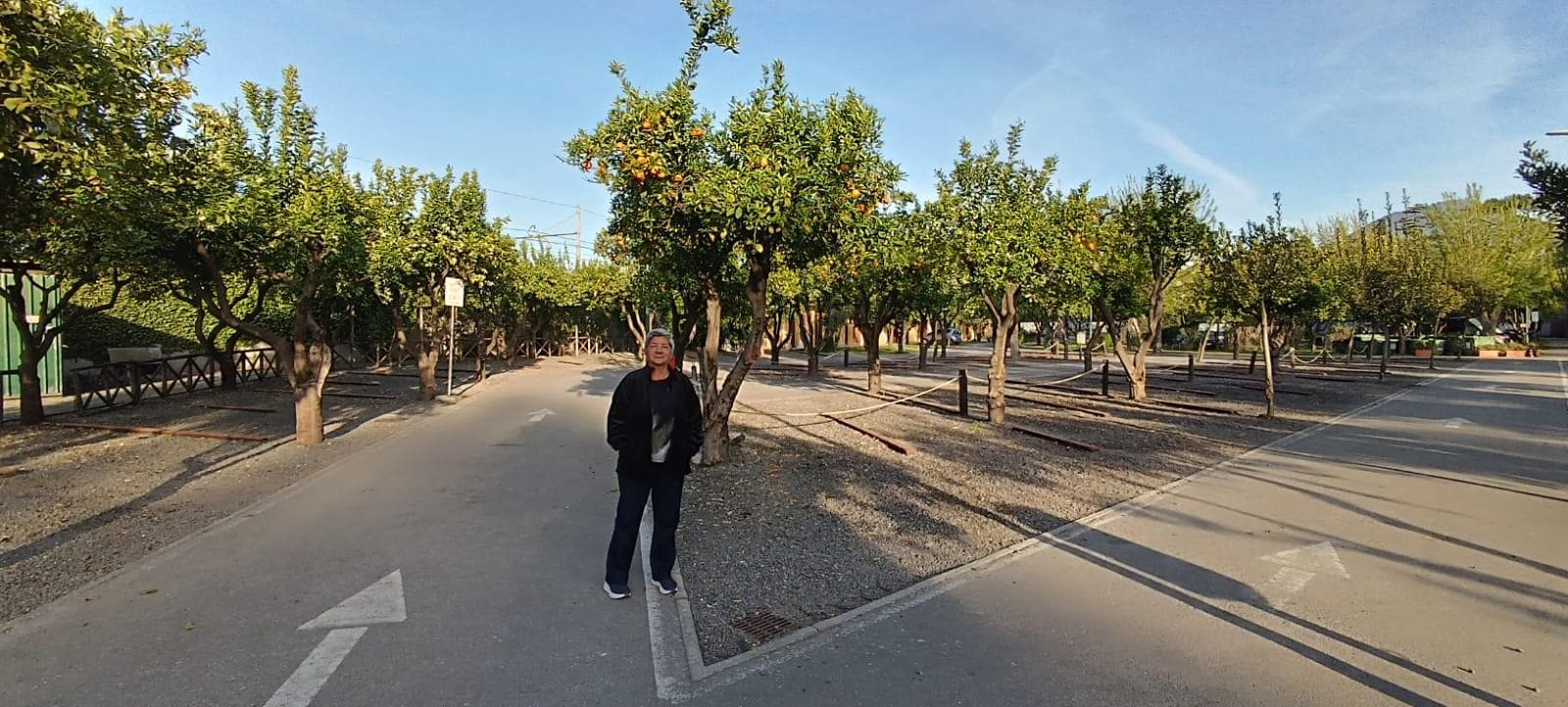 Delicioso cheiro de flor de laranjeira no Jardim 