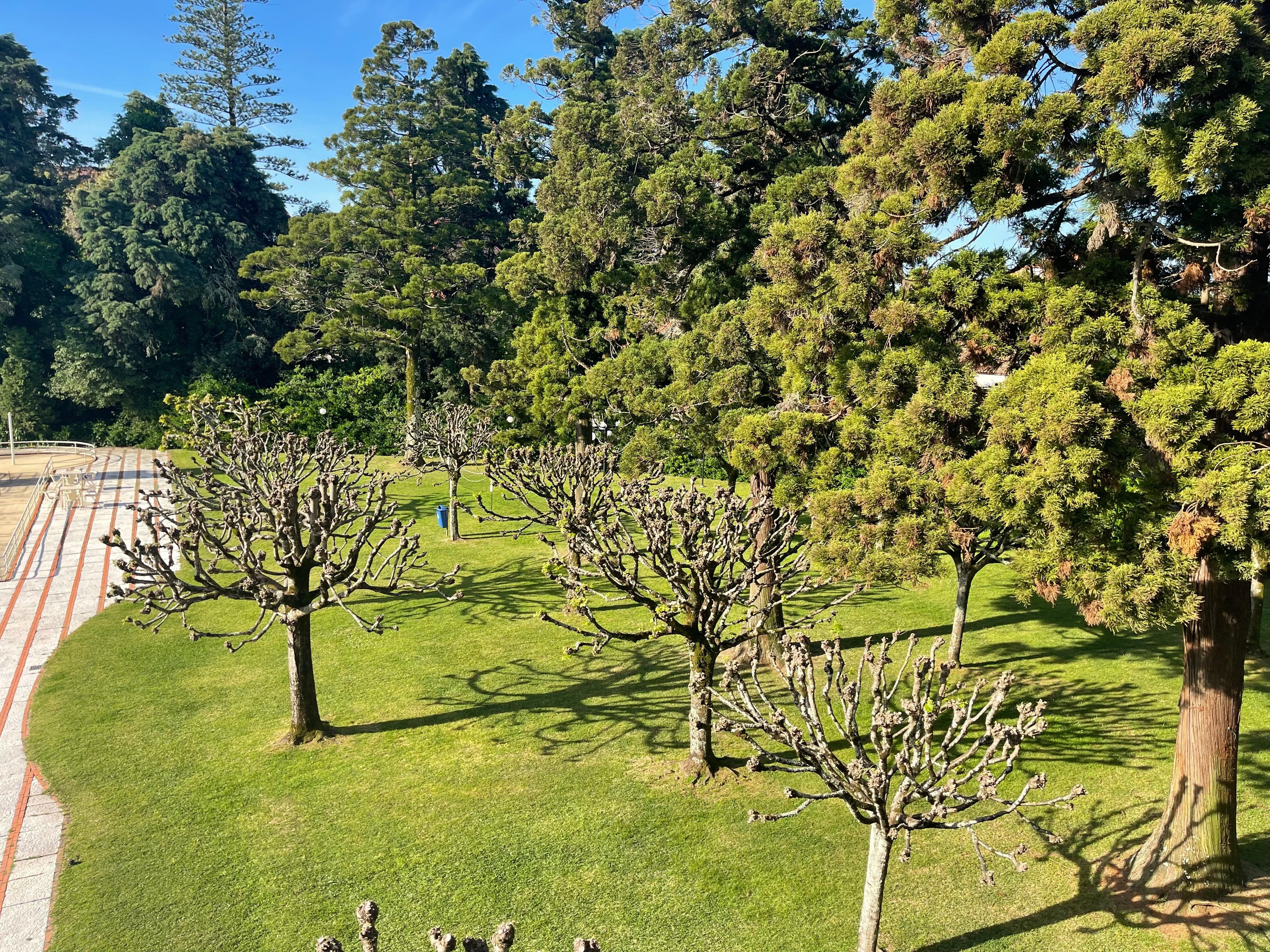 Jardim junto à piscina exterior.