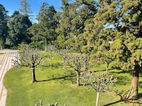 Jardim junto à piscina exterior.