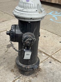 Lockbox chained to a city fire hydrant across the street from the unit