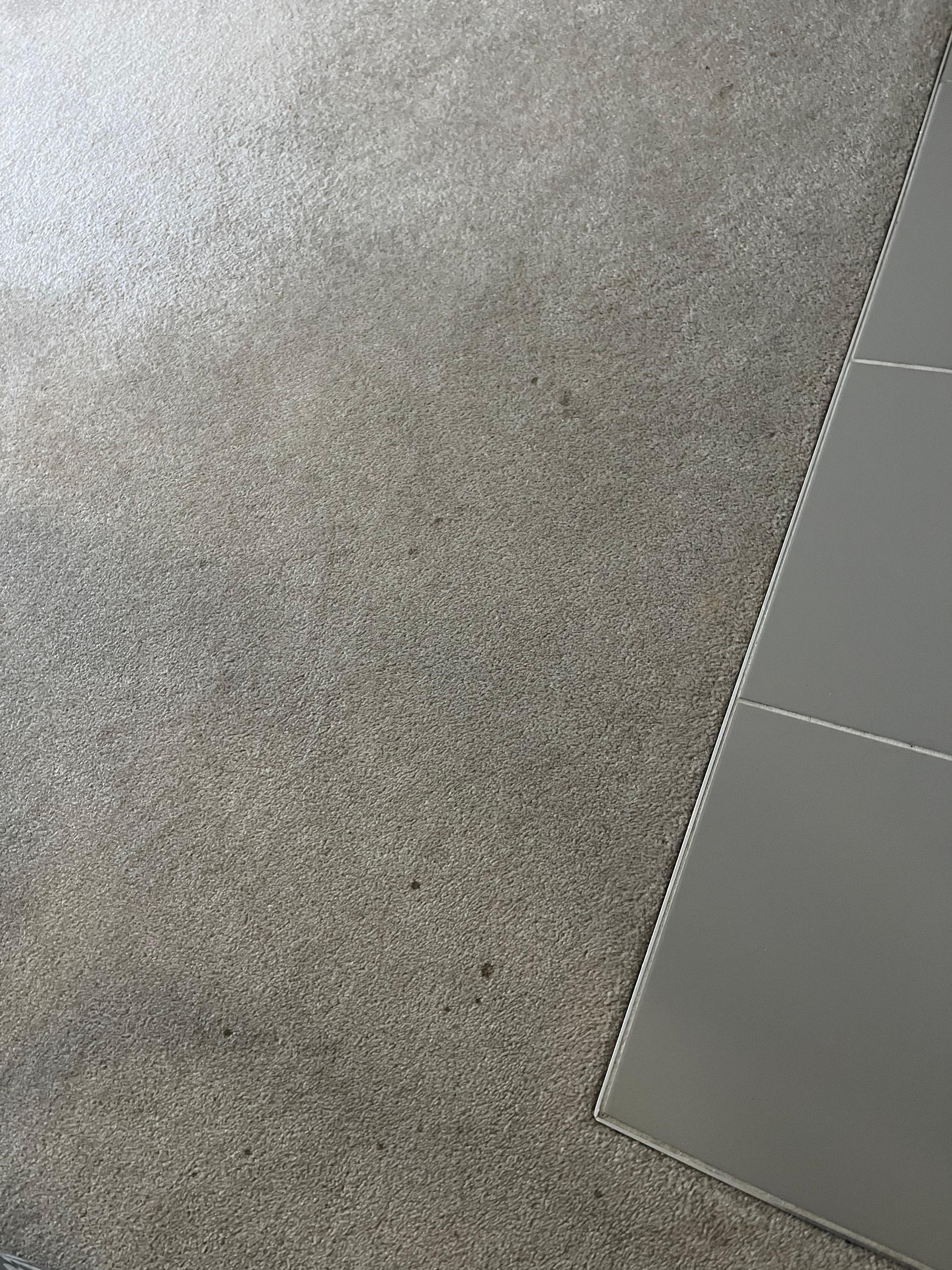 Carpets with burn stains