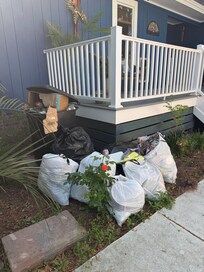 Welcome
This was cleaned up 24 hours later. Did my dogs get into it. Yes. Along with other critters.