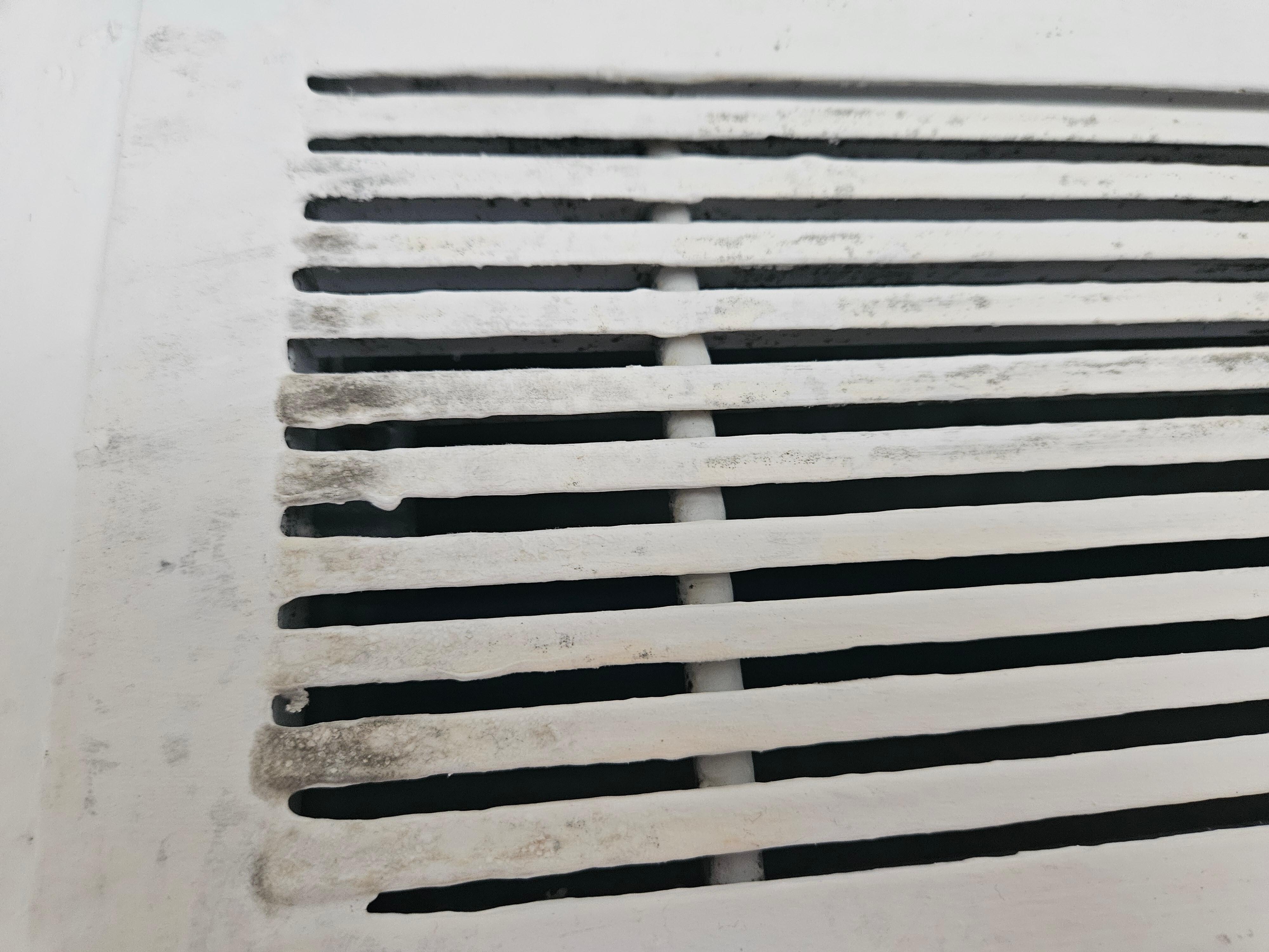 Air vent to the room has mold all over it. 