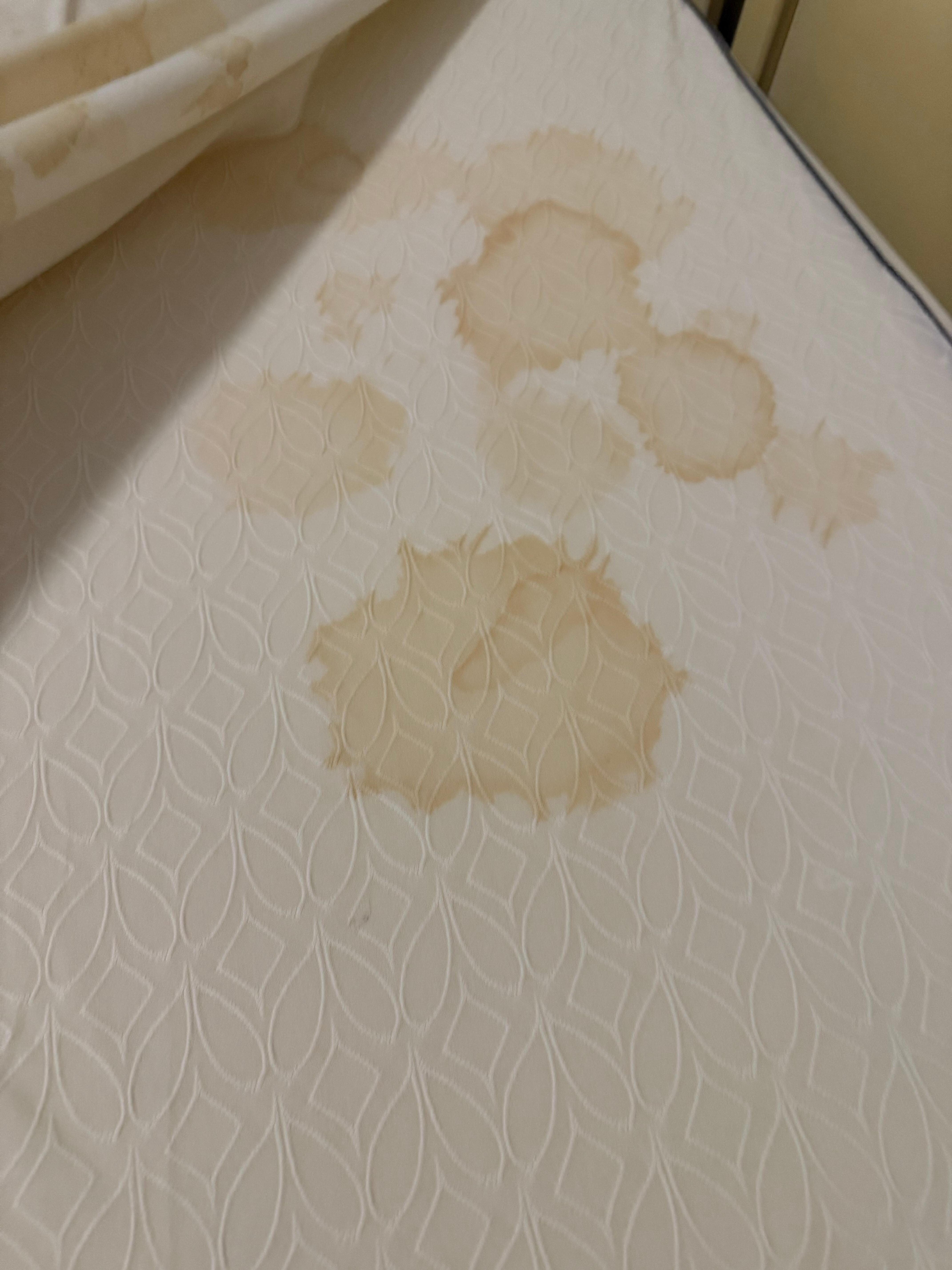 Bodily fluid stains on bed