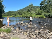 Pine Creek below the cabin