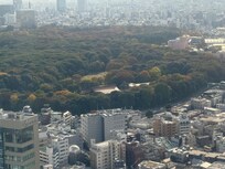 Great view from my room