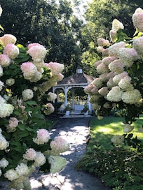 Beautiful Hydrangeas grace the property. In the background is a gazebo.