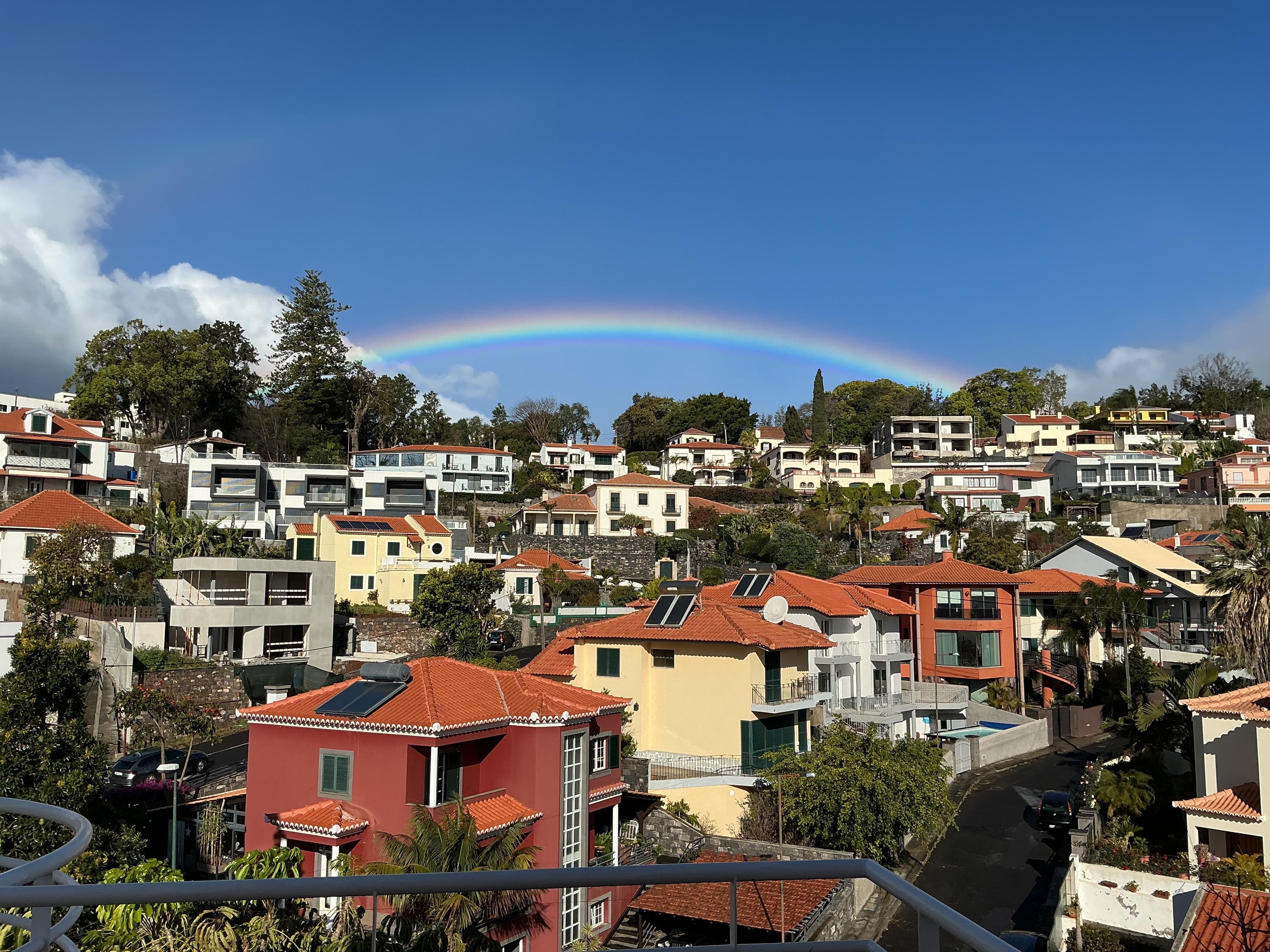 View from the terrace to the back. You have views of the ocean from the large terrace  too. 