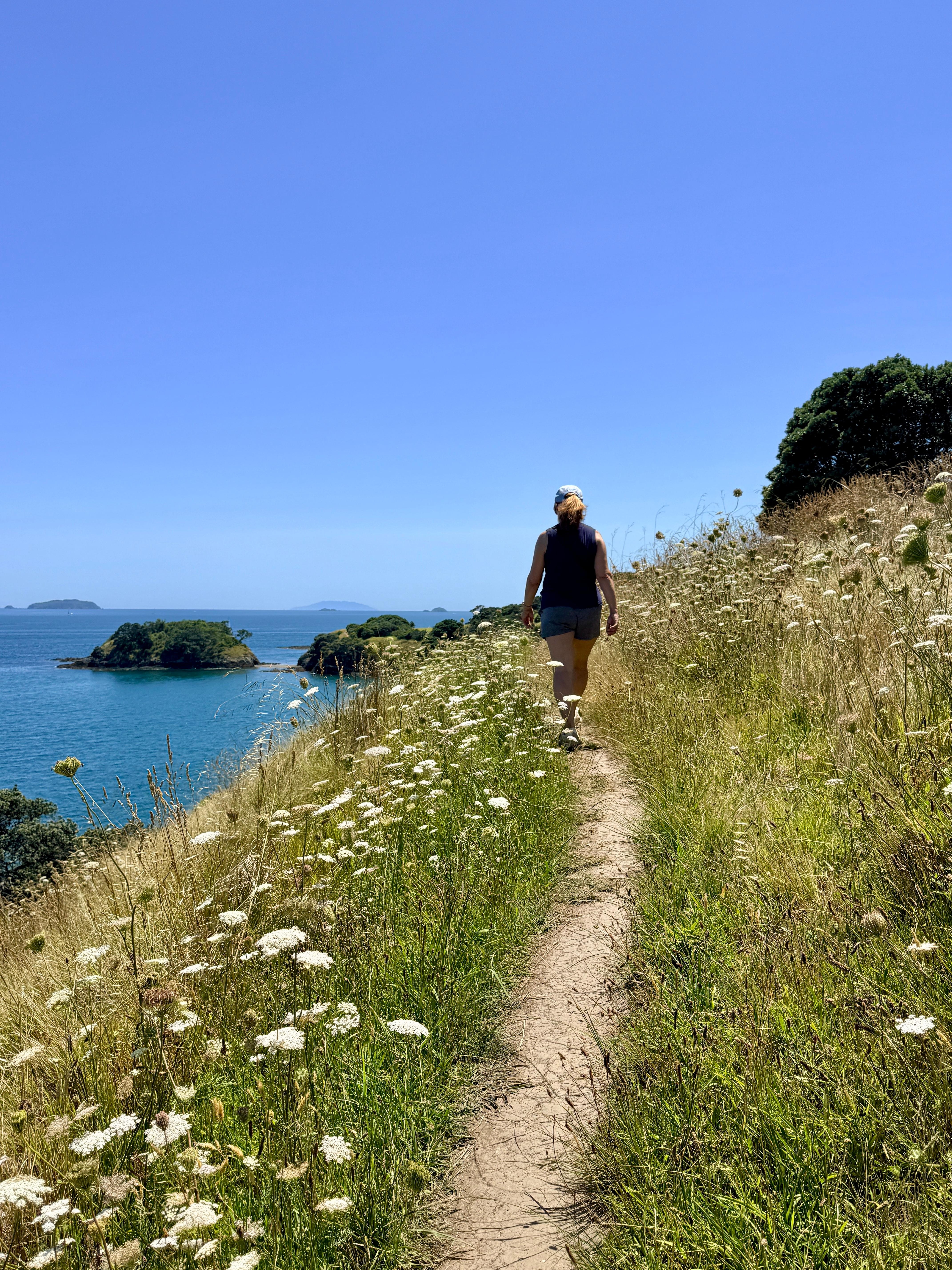 Hiking the nearby trail network. 