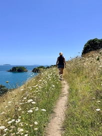 Hiking the nearby trail network.