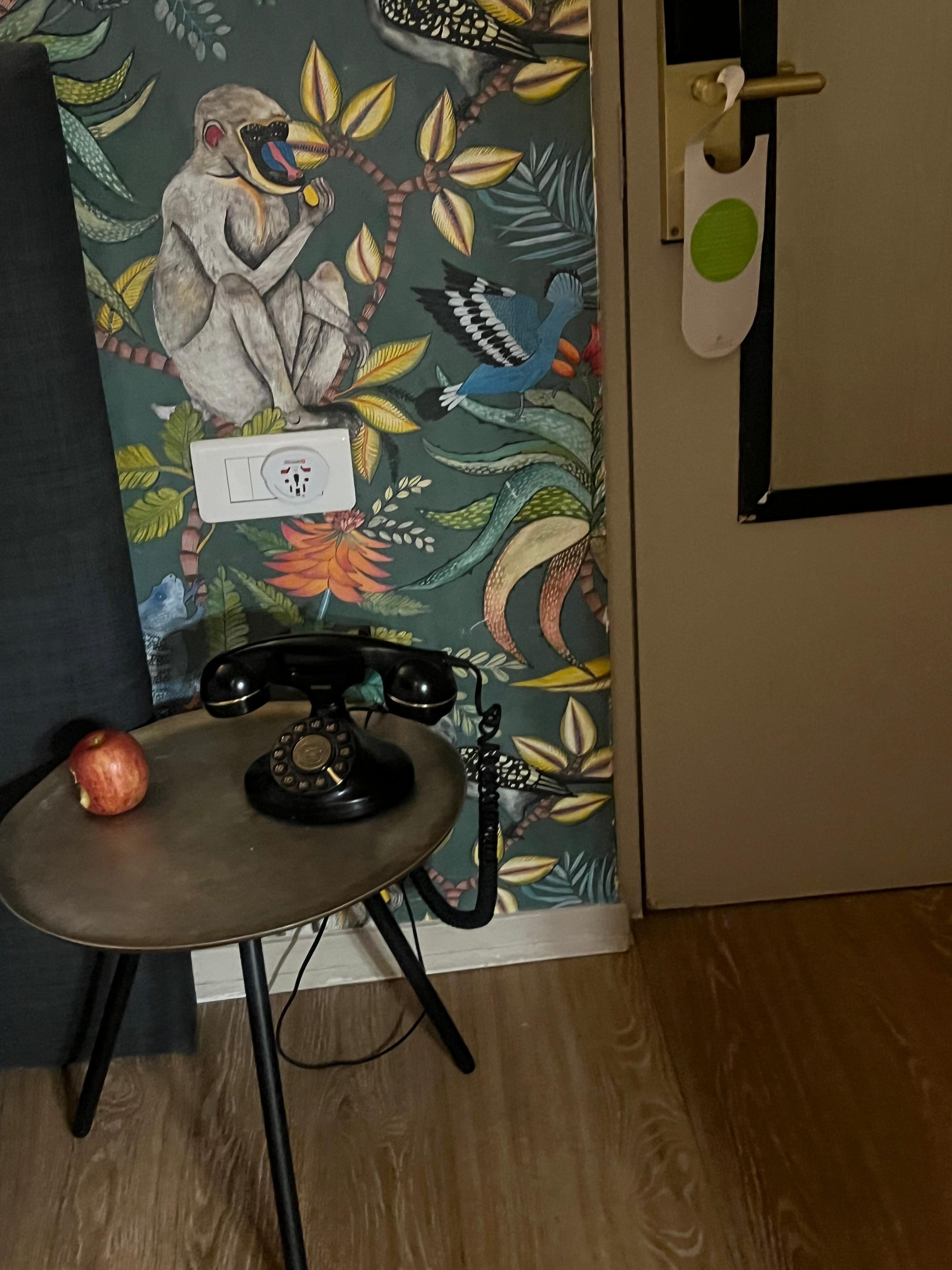 Cute telephone in my room