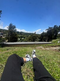 View from the garden