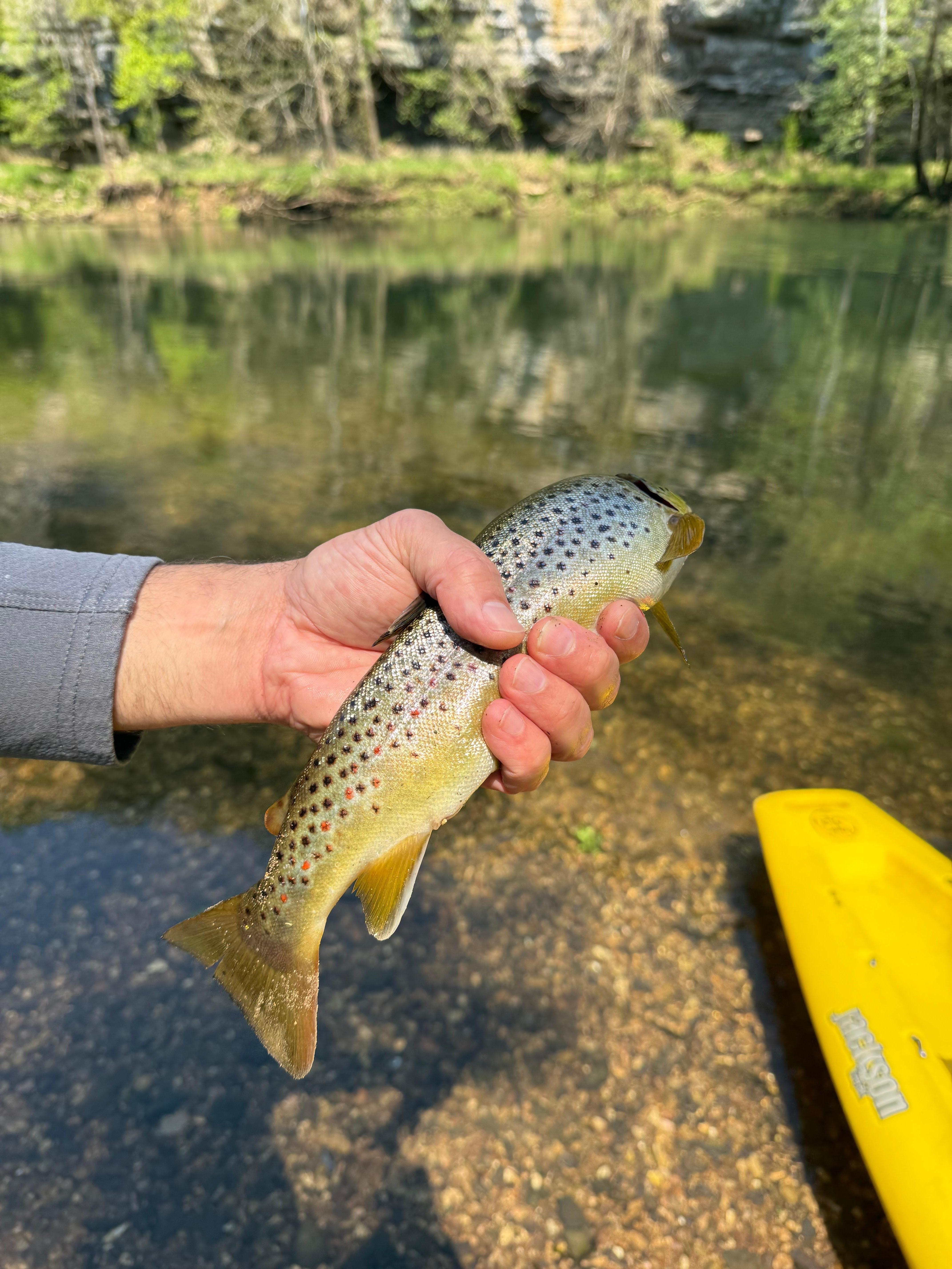 So much to do nearby even off the lake. 