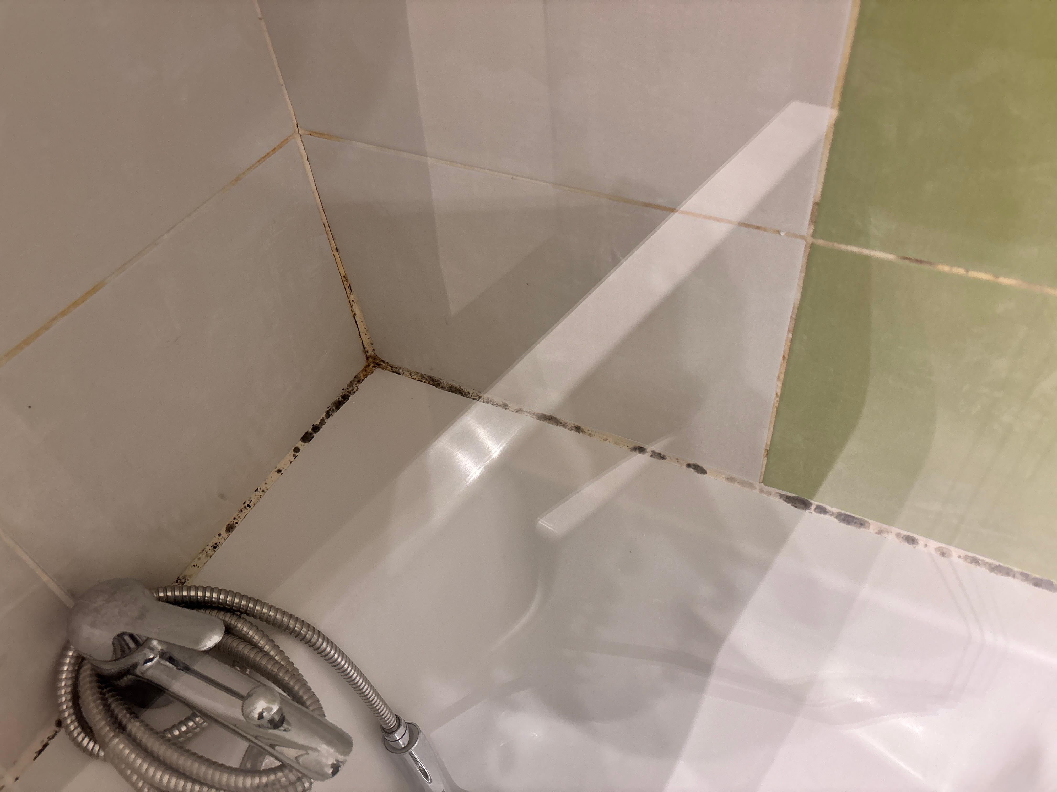 Moisissure tout le long des joints de salle de bain 