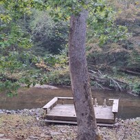 View of creek