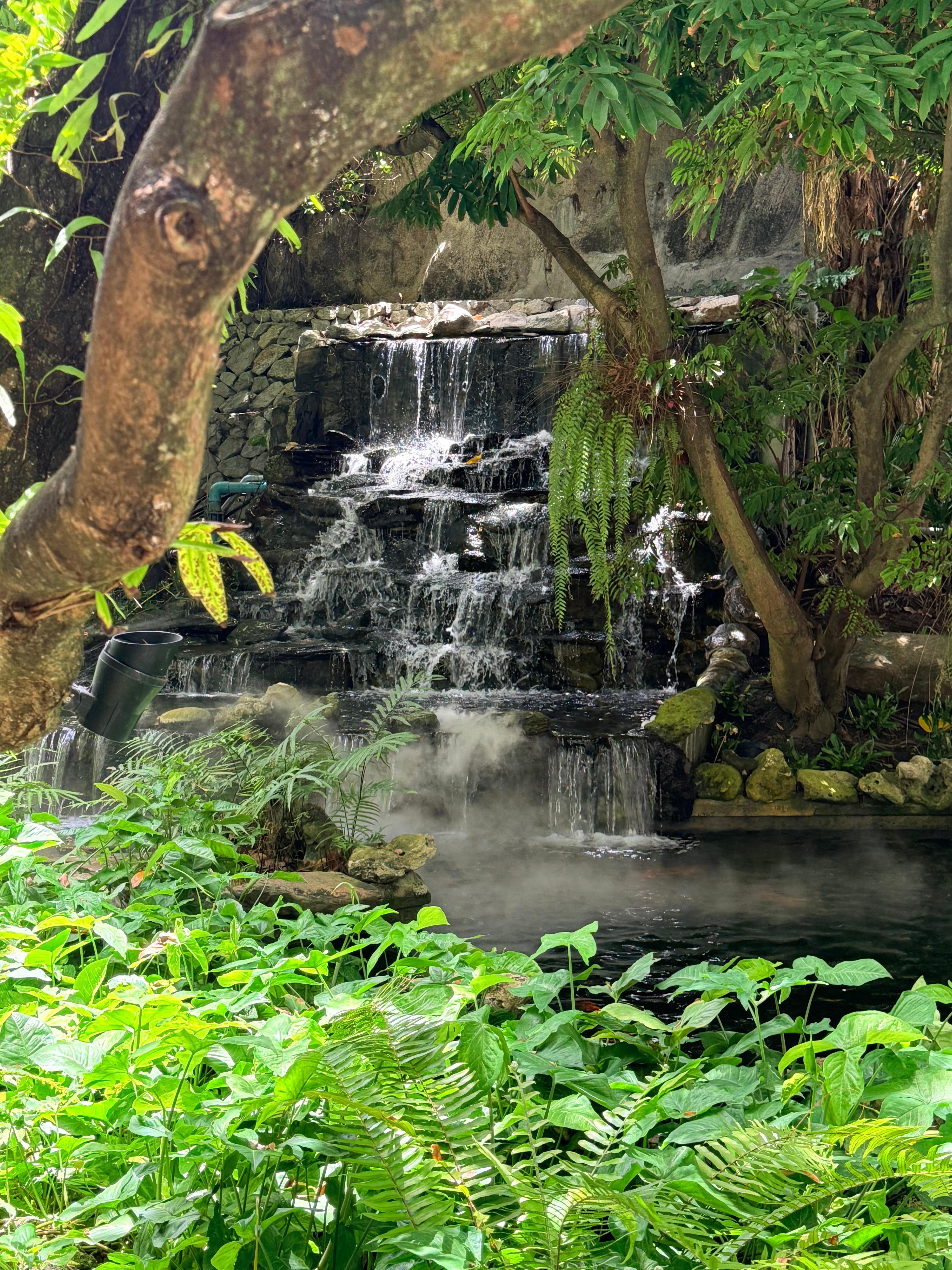 Waterfall at rear of lounge