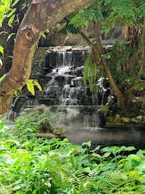 Waterfall at rear of lounge