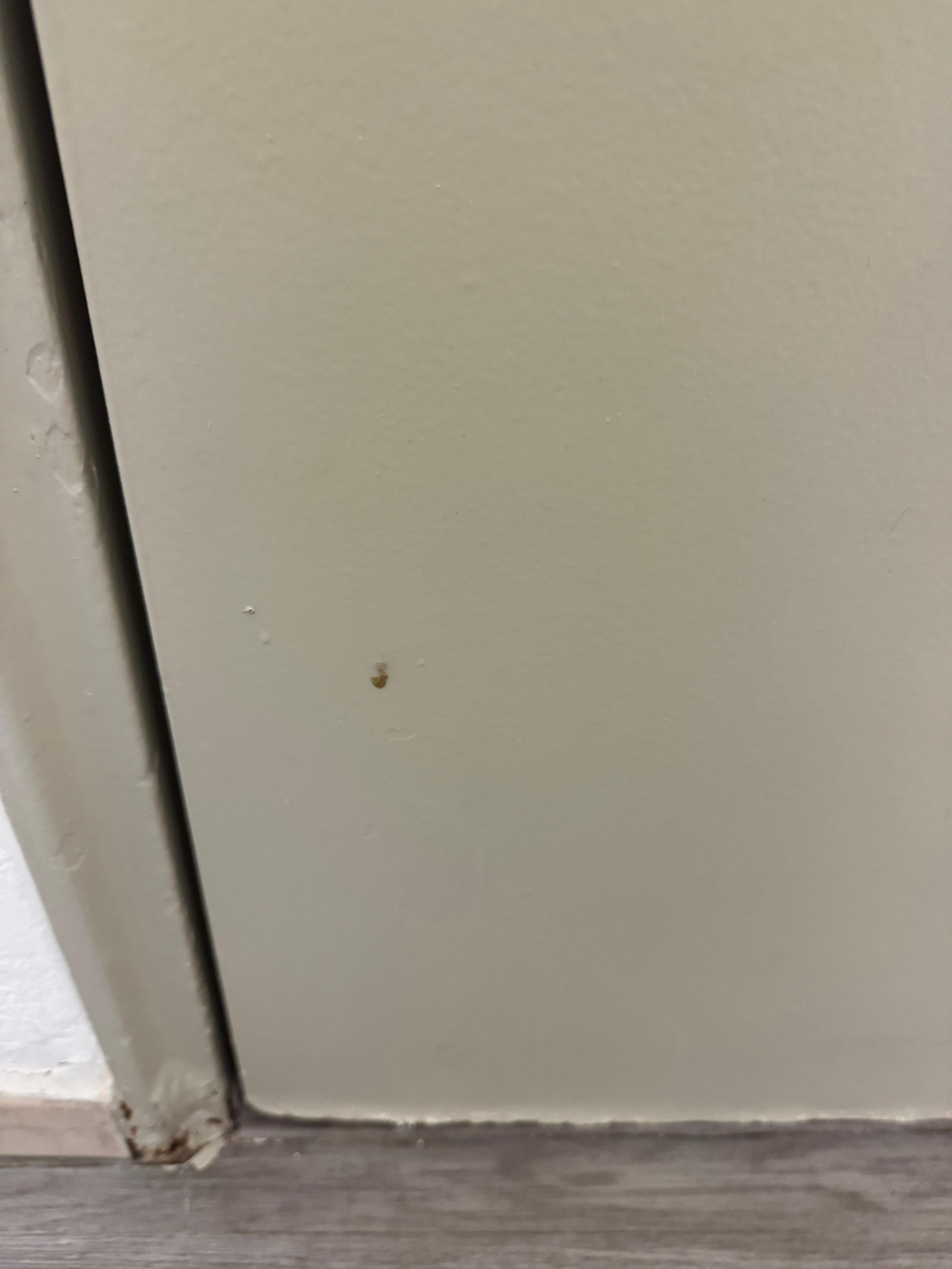 Snot on door along with dirt