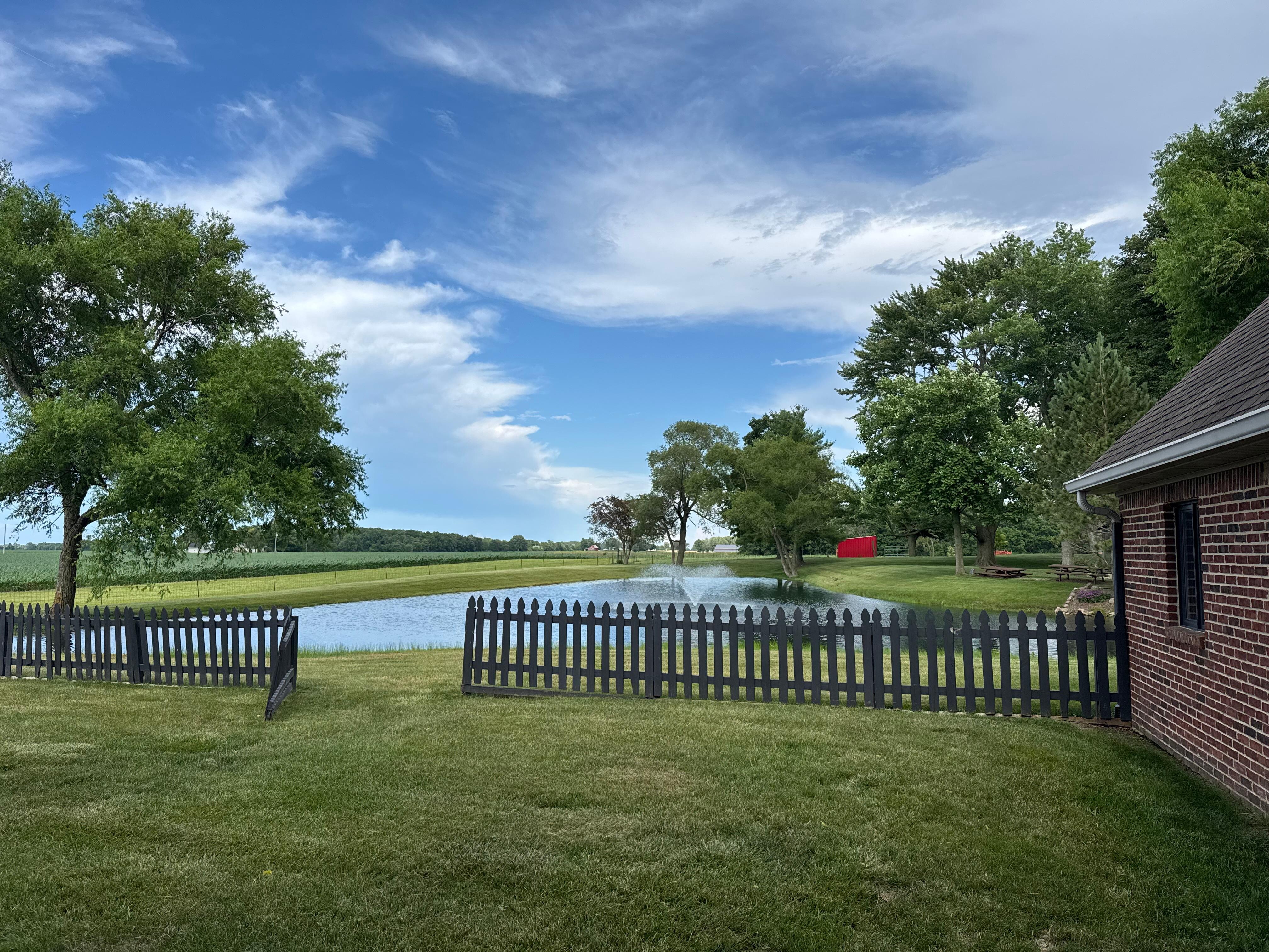  View from the back porch